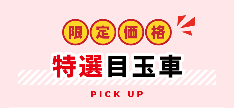 限定価格 特選目玉車